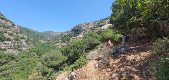 Изображение к Прогулка по Западной Галилее от Леопардовой пещеры до пещеры Радуга к Нахаль Бецет и Сэрах.