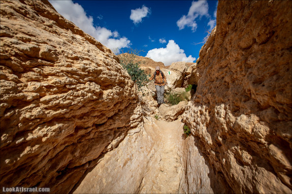 Изображение к Ручей Гов. Подьем Акрабим в пустыне Негев