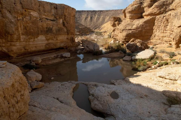 Изображение к Поход по пустыне Негев: Ущелье Ямин - Ущелье Хатира
