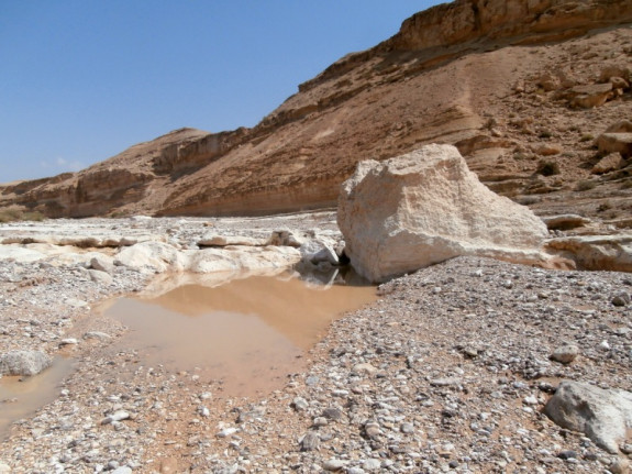 Изображение к Нахаль Хеймар. Трек по самому большому ручью в Иудейской пустыни.