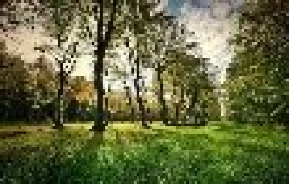 Изображение к Волшебное путешествие по Шфелат Егуда